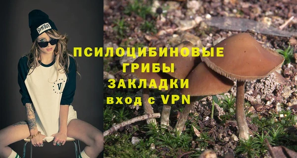 прущая мука Саяногорск