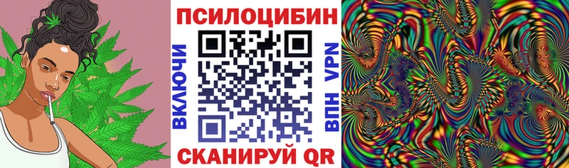 дарнет шоп  Грязовец  Псилоцибиновые грибы прущие грибы 